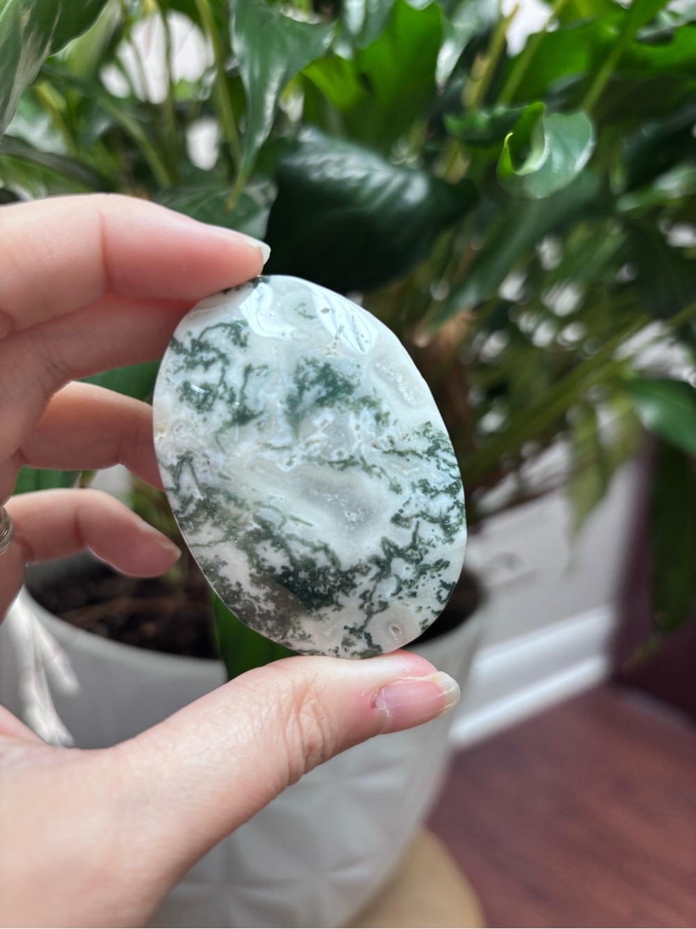 Moss agate palm stone
